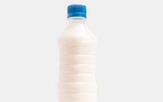 دوغ قوطی